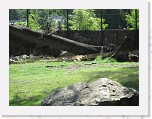 Dierentuin Burgers  Zoo 015 * 3648 x 2736 * (6.98MB)